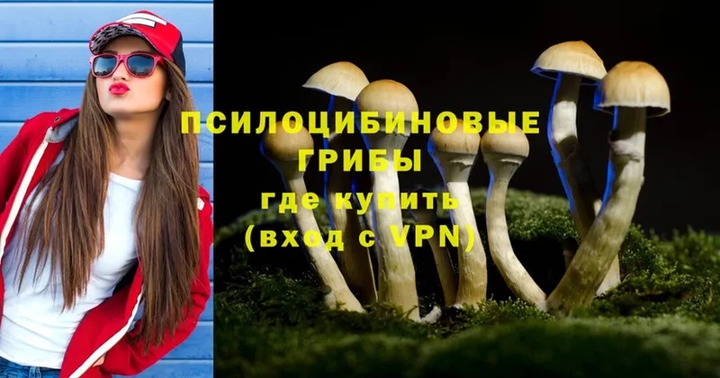 Псилоцибиновые грибы Psilocybe  Златоуст 