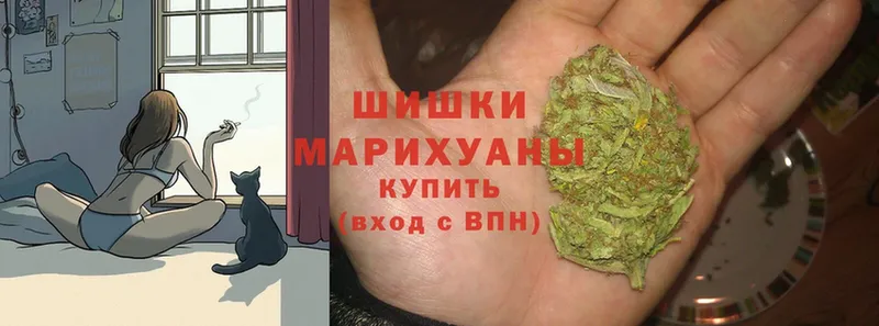 Конопля White Widow  где продают наркотики  Златоуст 